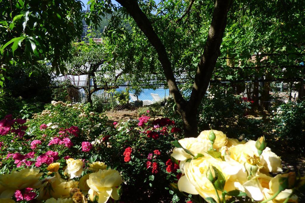 Hotel Du Lion D'Or Entraygues-sur-Truyère Εξωτερικό φωτογραφία